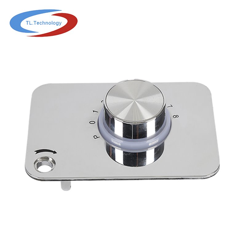 20240313glics2 rehegua.