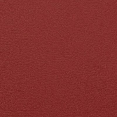 20250313glics1 rehegua.