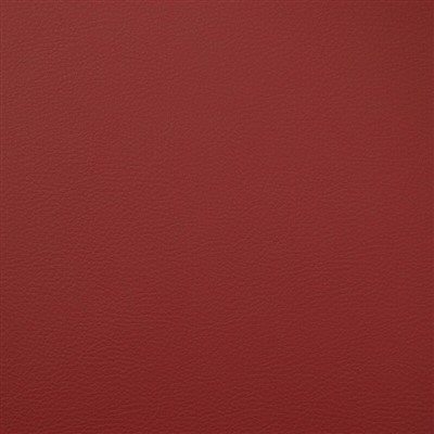 20250313glics rehegua.