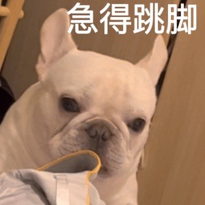 ergggdffdh435435 rehegua.