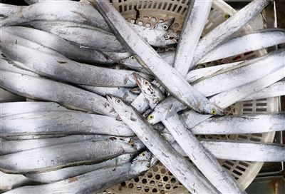 DSADSDADSADSAD rehegua .